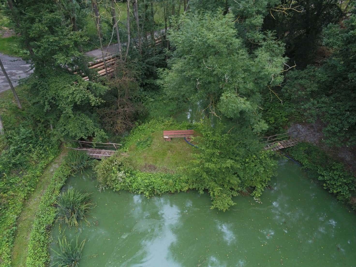 Luftaufnahmen der kleinen Insel im Teich